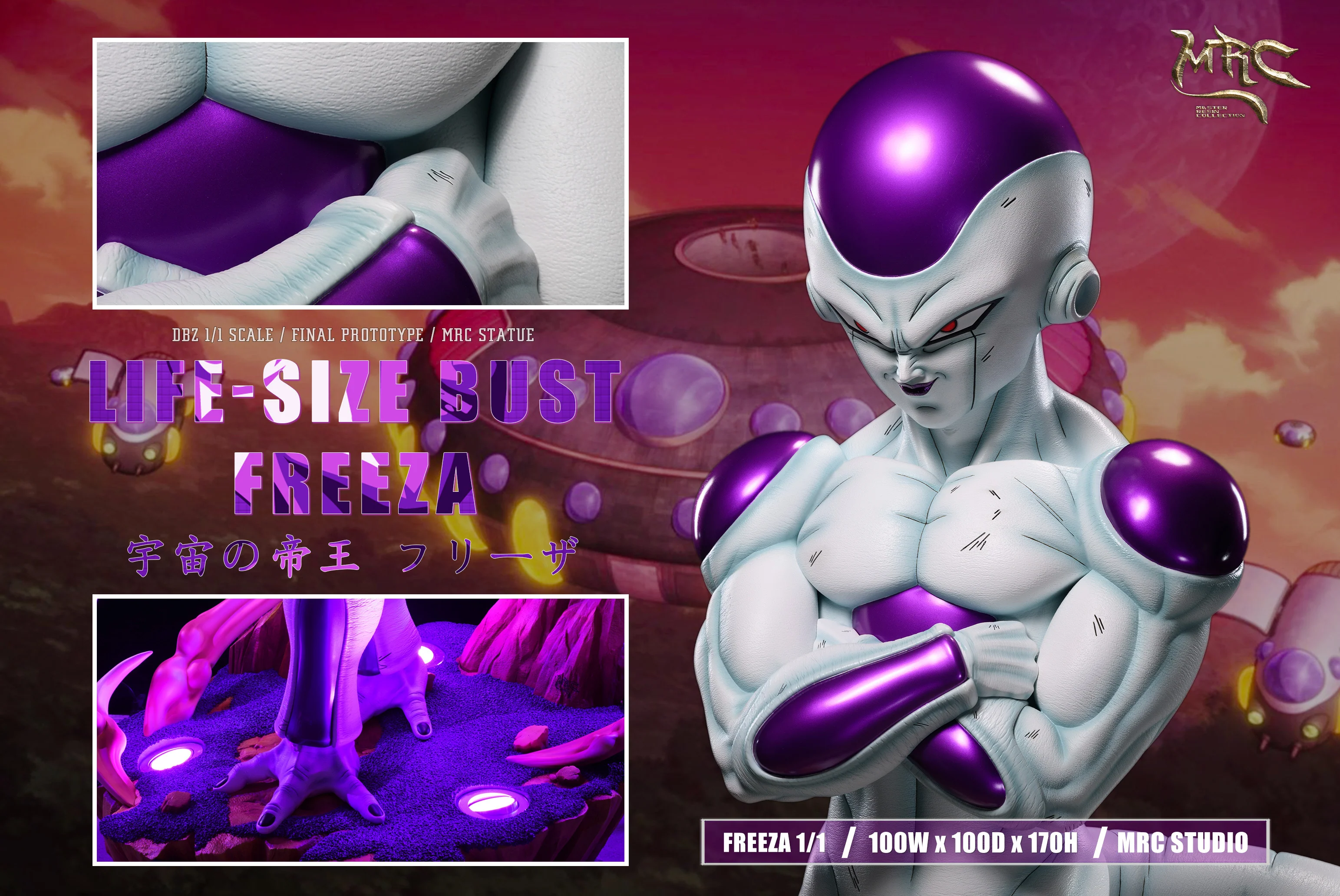 Thumbnail 11