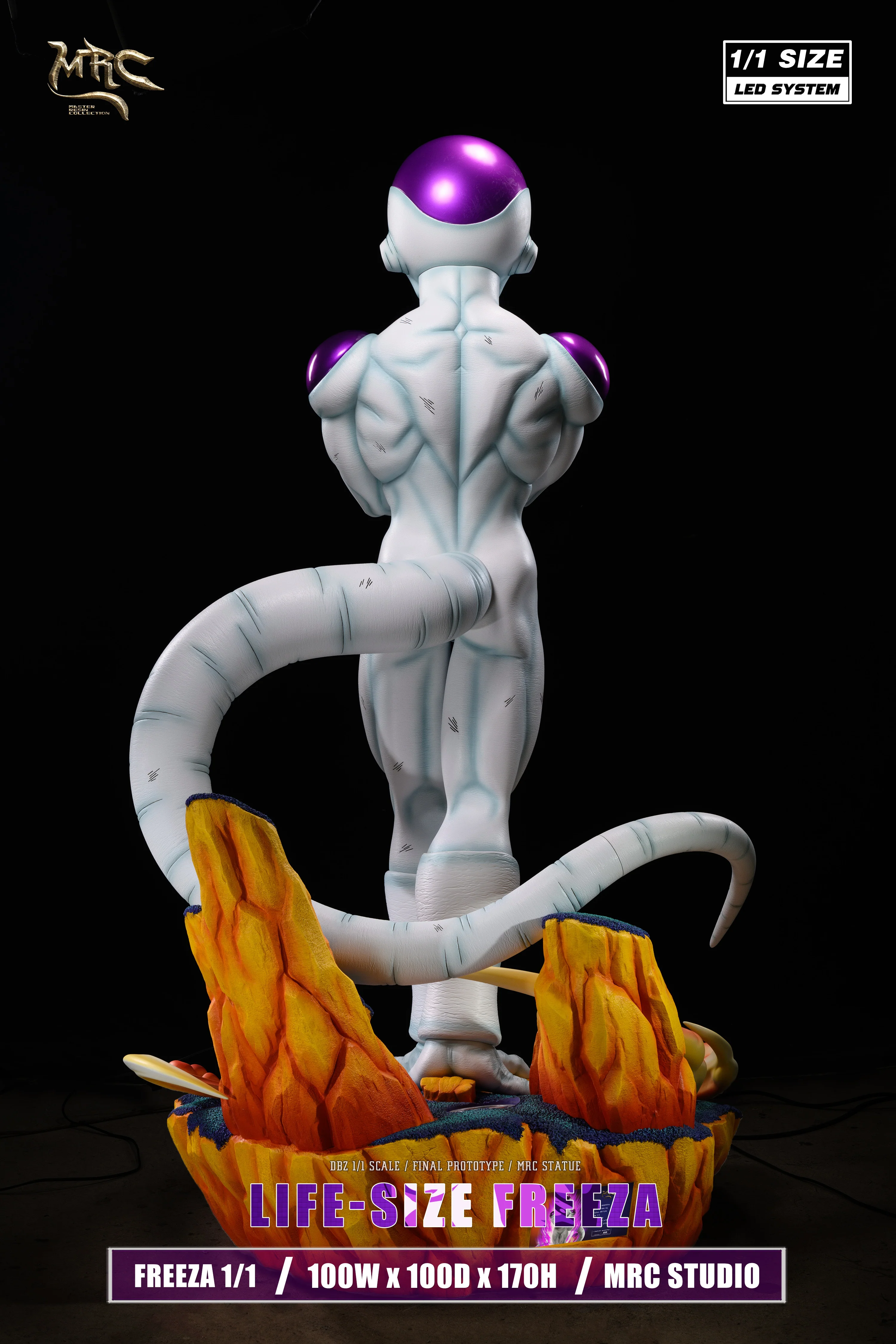 Thumbnail 9