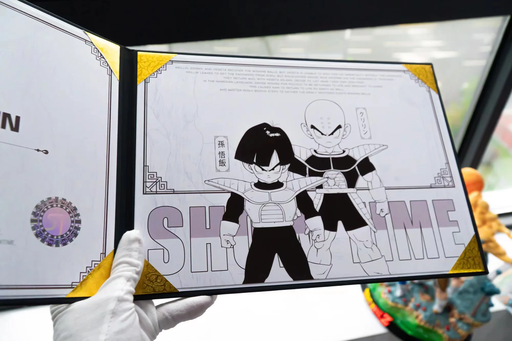 Thumbnail 19