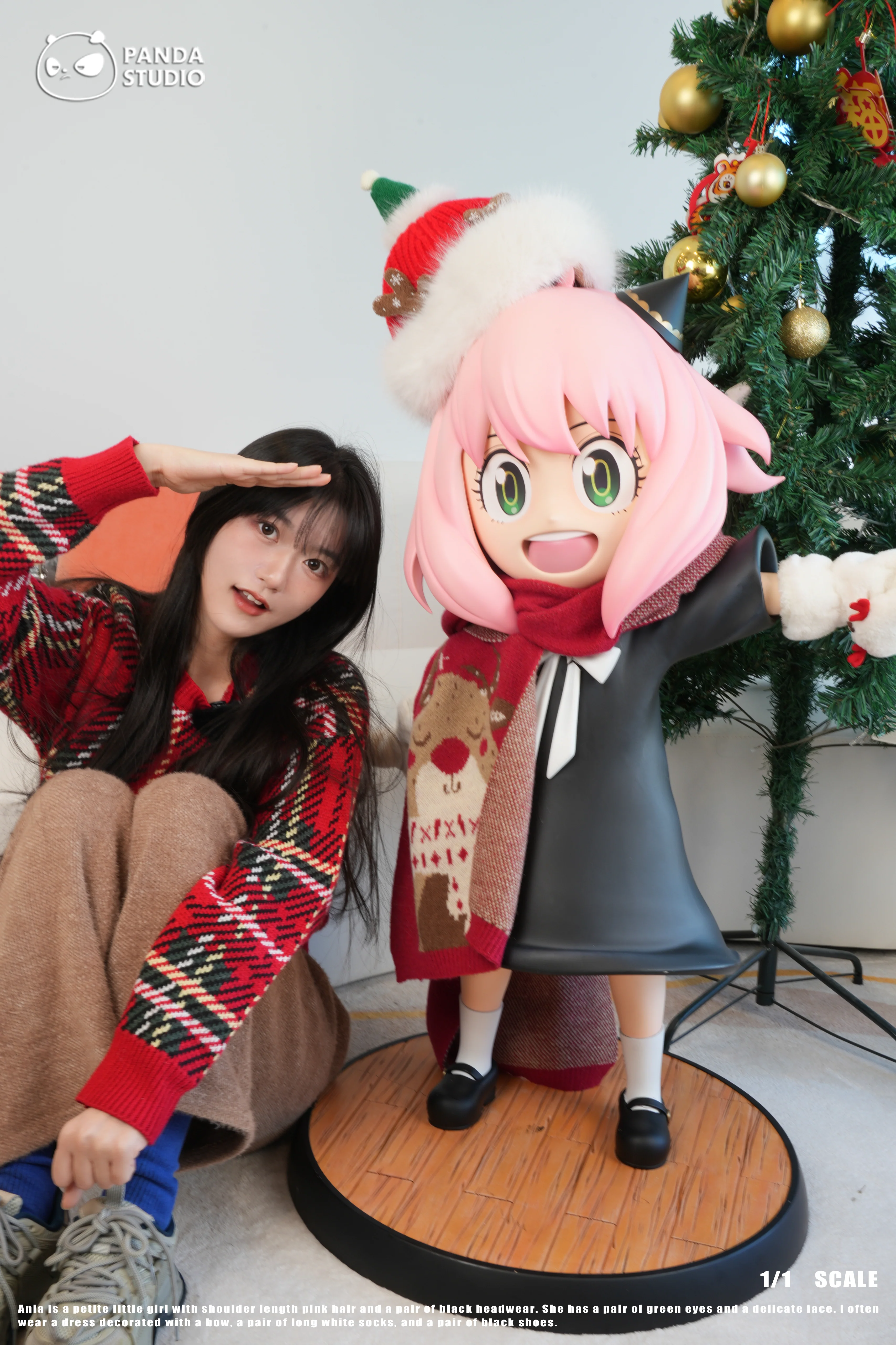 Thumbnail 9